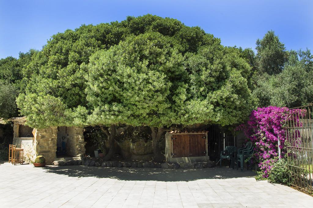 Agriturismo Il Paradiso Iglesias Dış mekan fotoğraf