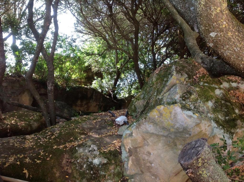 Agriturismo Il Paradiso Iglesias Dış mekan fotoğraf