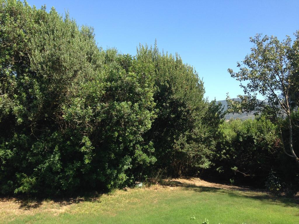 Agriturismo Il Paradiso Iglesias Dış mekan fotoğraf